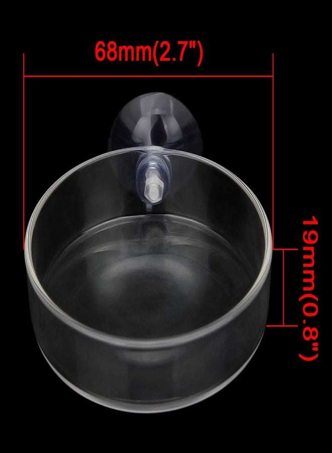 Senzeal 2PCS Shrimp Feeding Dish Glass Aquarium Fish Tank Reptiles Round Feeder Bowl with Suction Cup - Image 5